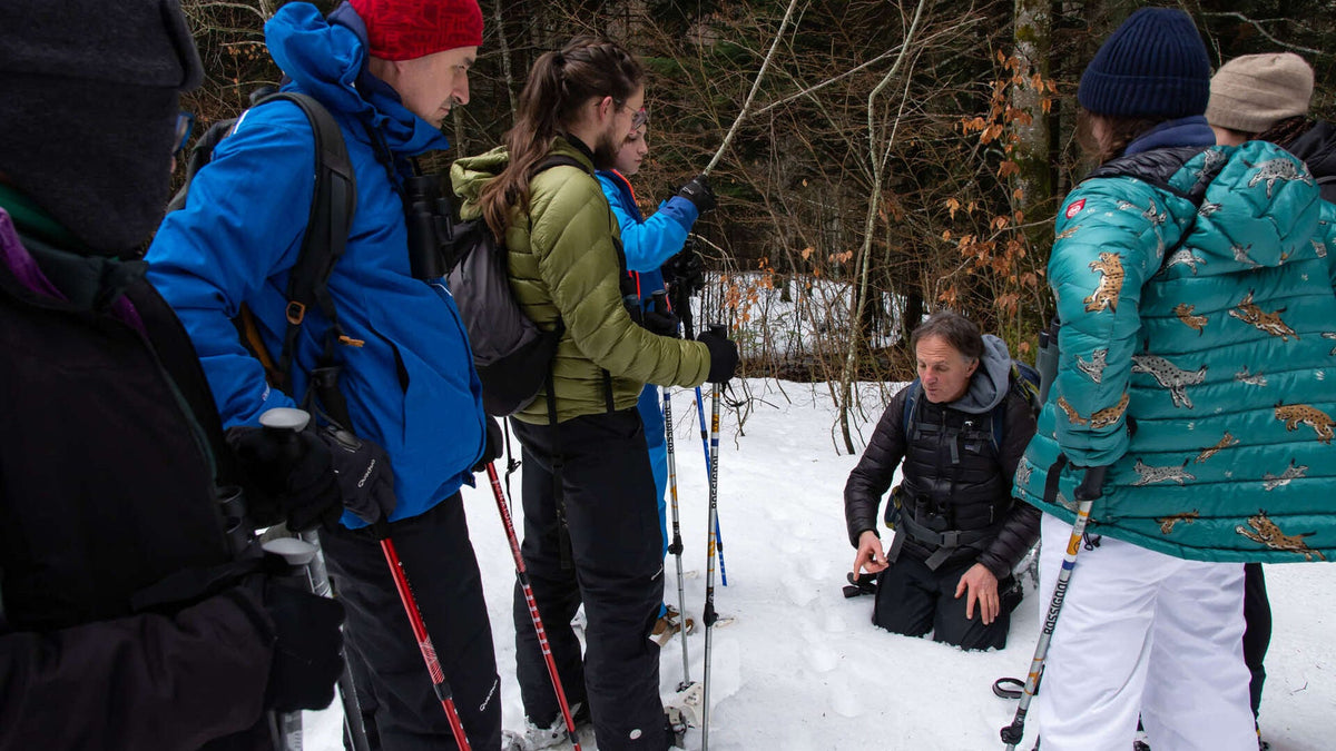 Groupe de randonneurs en raquettes écoutant leur guide dans la forêt enneigée