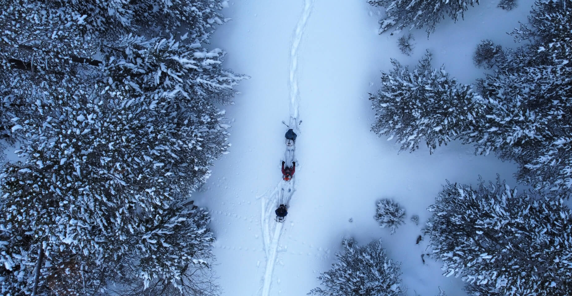 La Ligne - Traversée Pyrénées