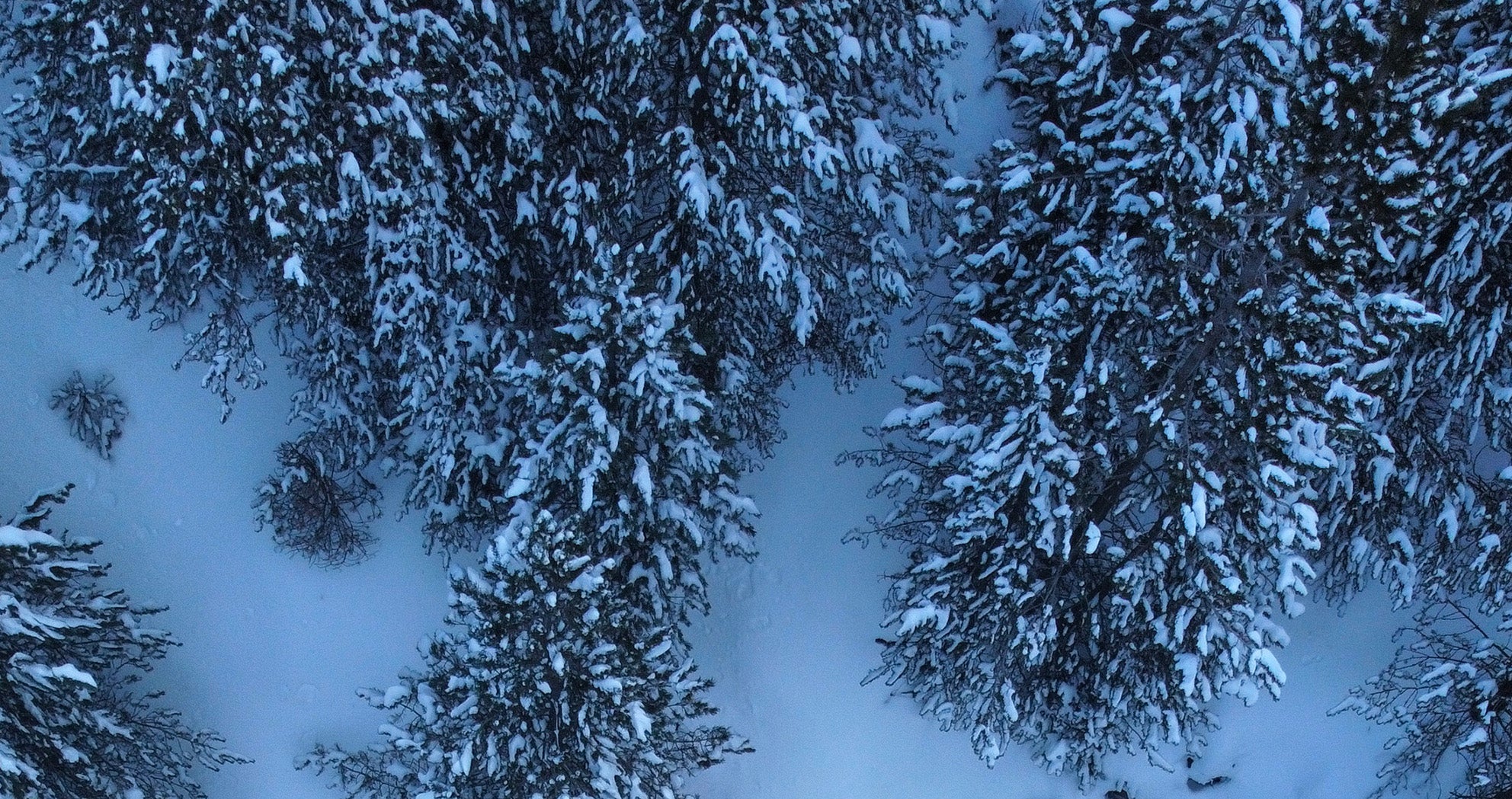 gerardmer aventure film festival