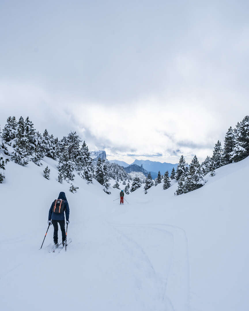 Skieur nordique seul dans une combe enneigée bordée de sapins