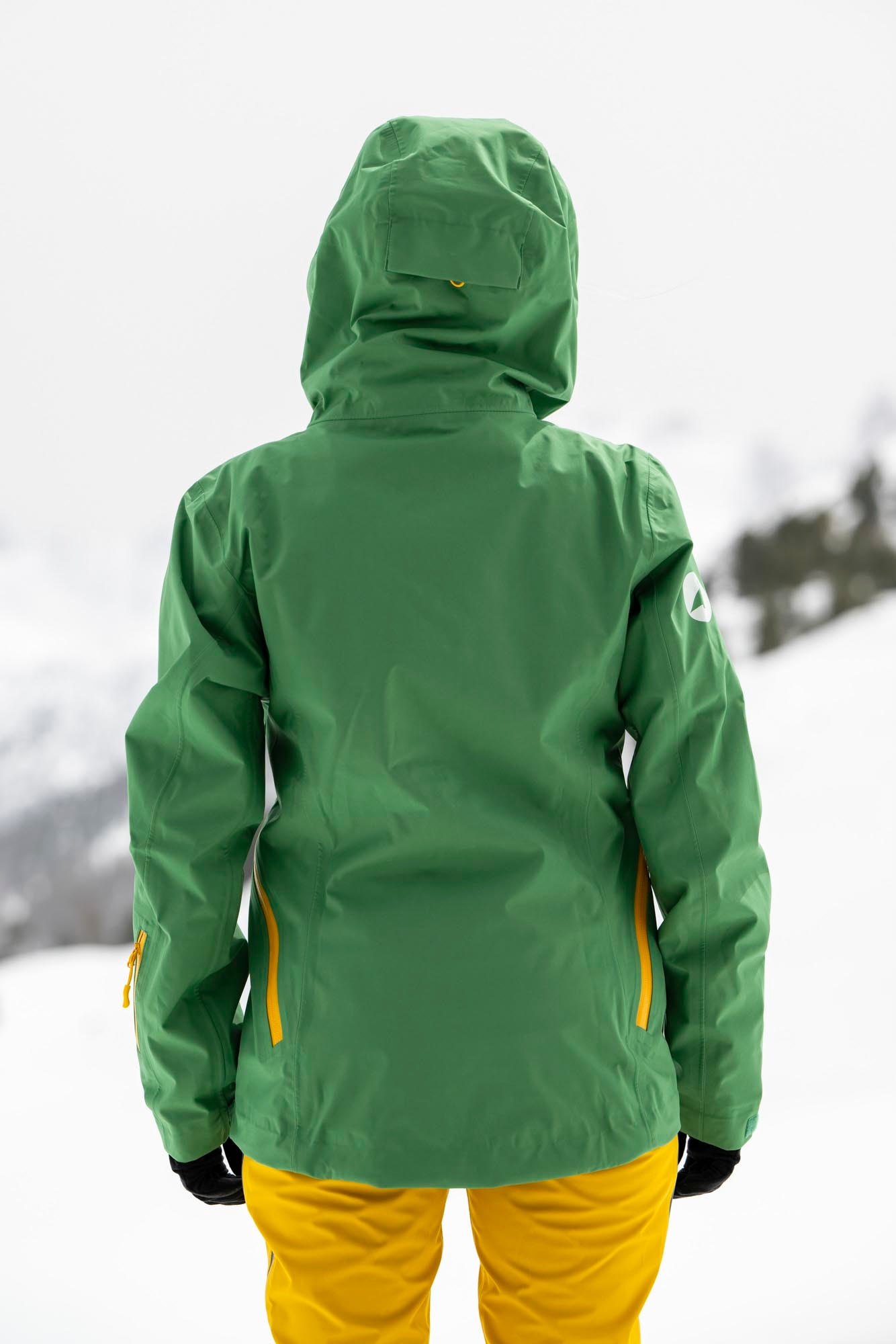 Variante Vert gazon