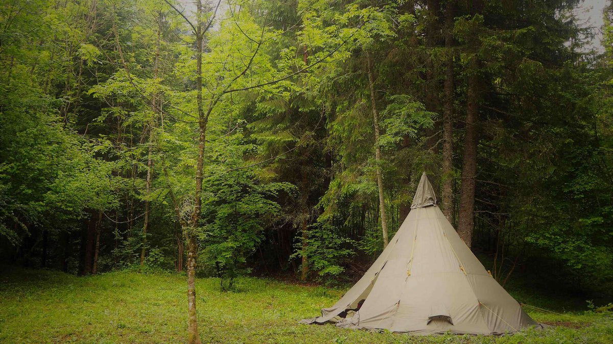 Tente tipi installée dans une clairière au cœur de la forêt